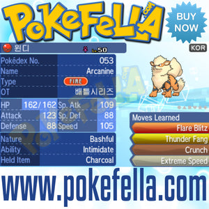 Battle Series 2009 Arcanine • OT: 배틀시리즈 • ID No. 06069 • Korean 2009 Event Intimidate Flare Blitz Thunder Fang Crunch Extreme Speed