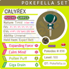 Calyrex • Competitive • 6IVs • Level 100 • Online Battle-Ready