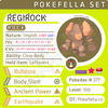 Regirock • Competitive • 6IVs • Level 100 • Online Battle-Ready