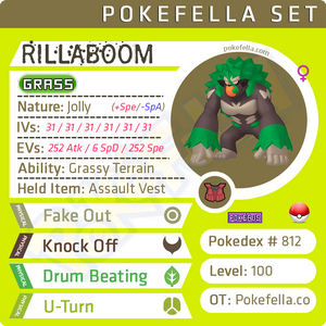 ultra square shiny Rillaboom • Competitive • 6IVs • Level 100 • Hidden Ability • Online Battle-ready