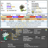 Zygarde • OT: 2018 Legends • ID No. 060118 • Shiny, Level 100 • Pokémon Legendary Celebration